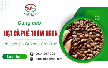 Cung cấp hạt cà phê thơm ngon - Bí quyết tạo nên ly cà phê chuẩn vị
