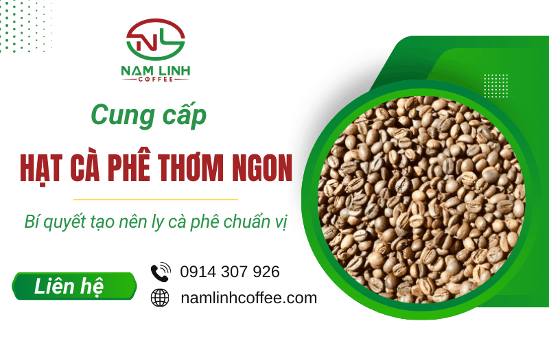 Hạt cà phê thơm ngon